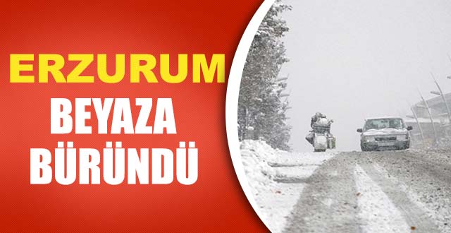 Erzurum beyaza bürüdü